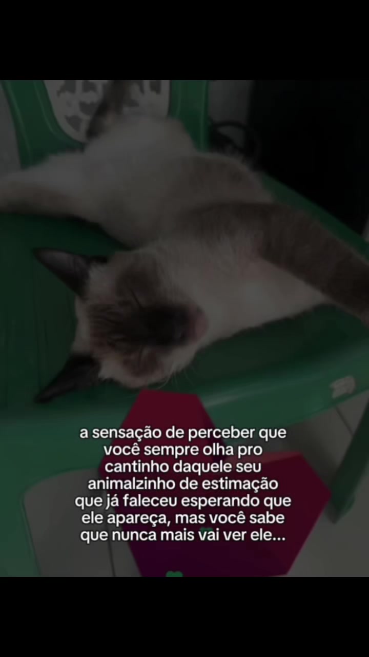 @eu..preta