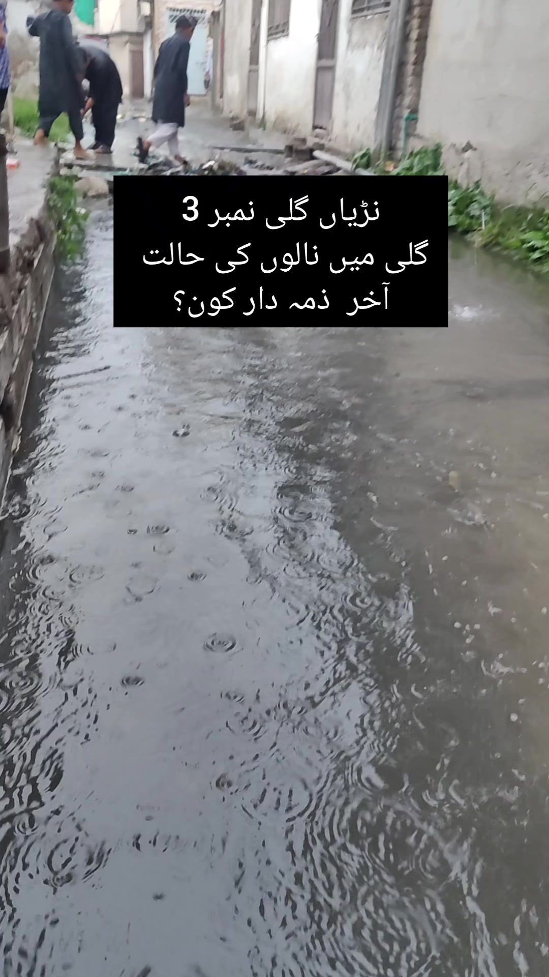 @Murshad Hazara