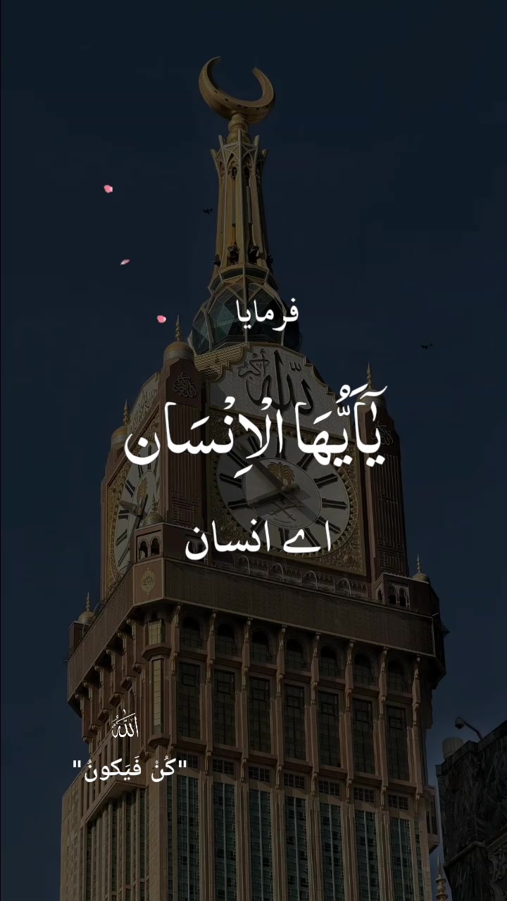 @Nadeem official 31