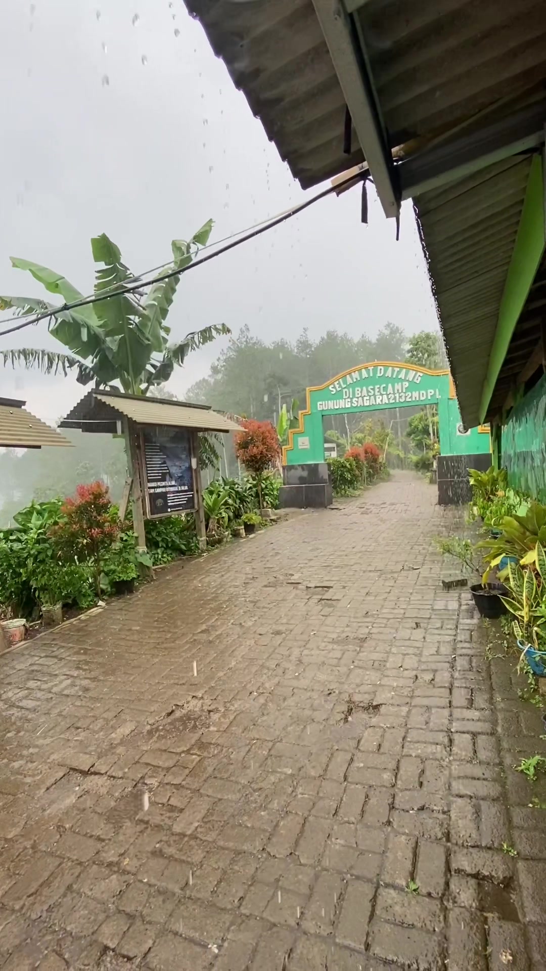 @GUNUNG SAGARA