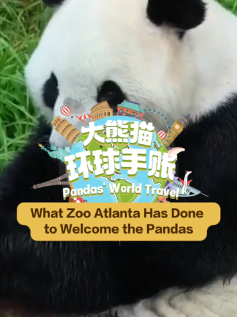 @iPanda