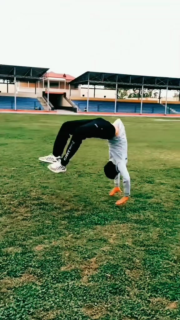 @Dragon♻️