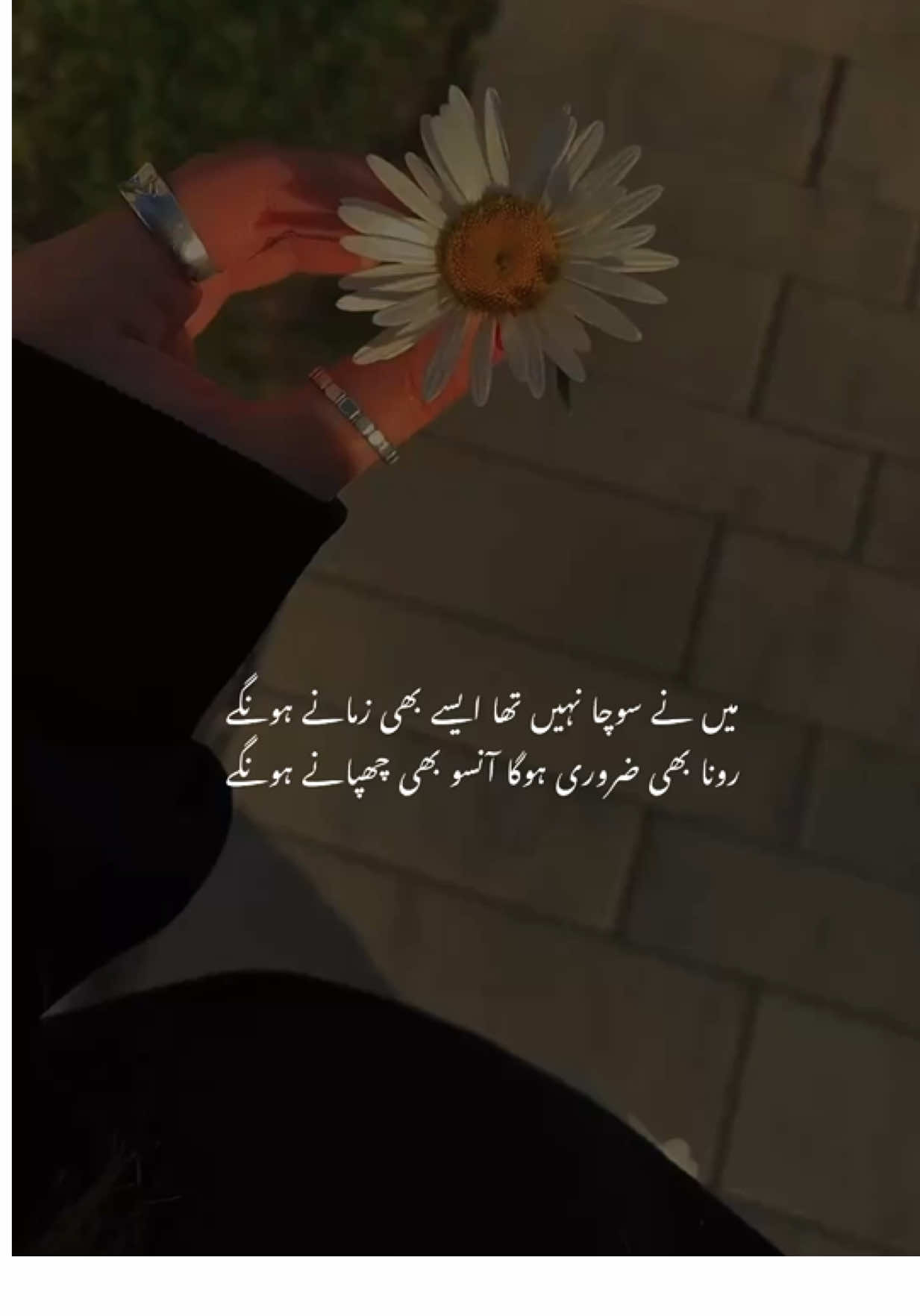 @Huzaifa