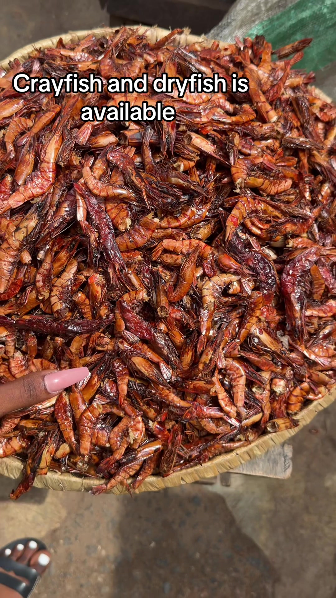 @Ajoke🦞omoge elede