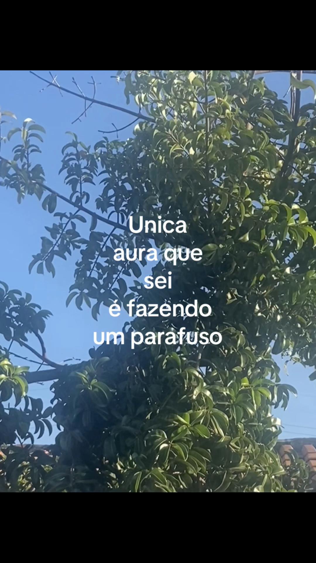 @manuelaypriv