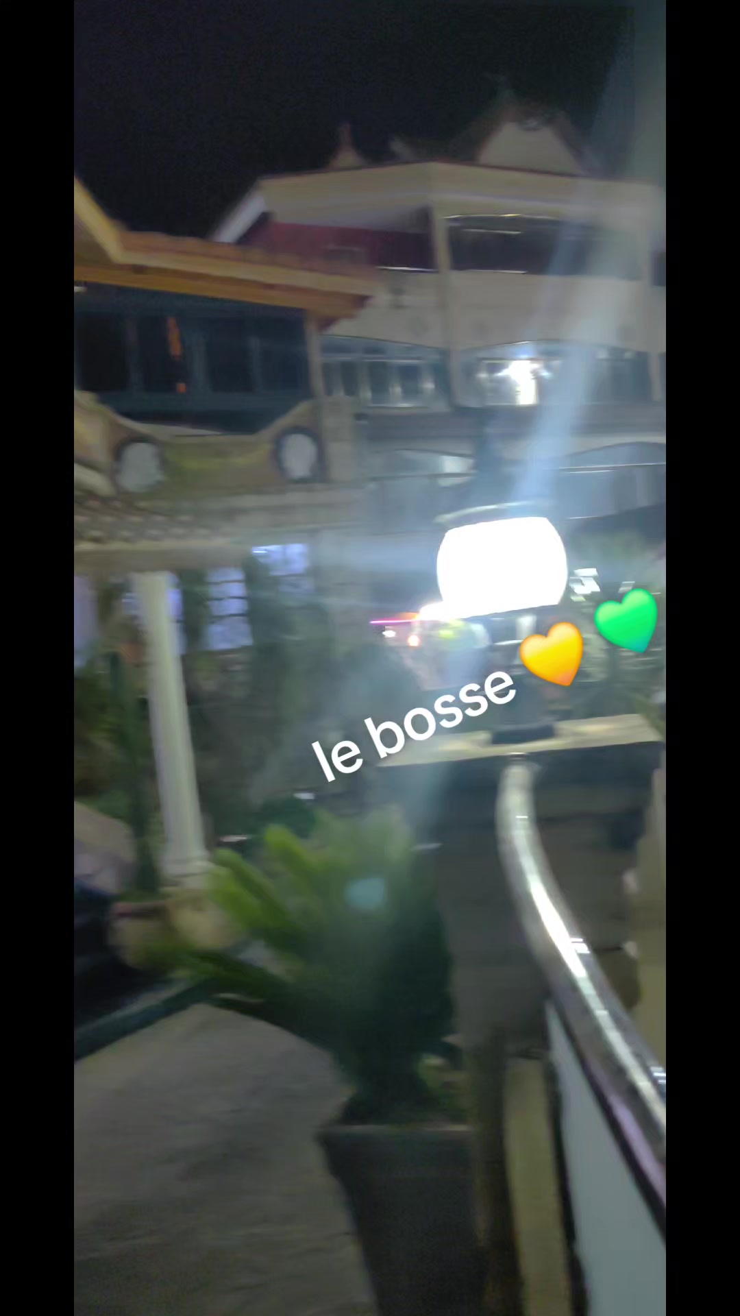 @Le boss 💛💚🇩🇿