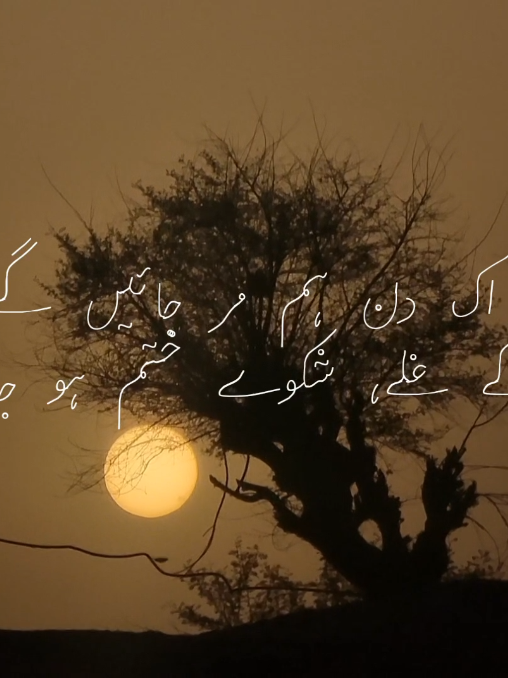 @Shehryar.