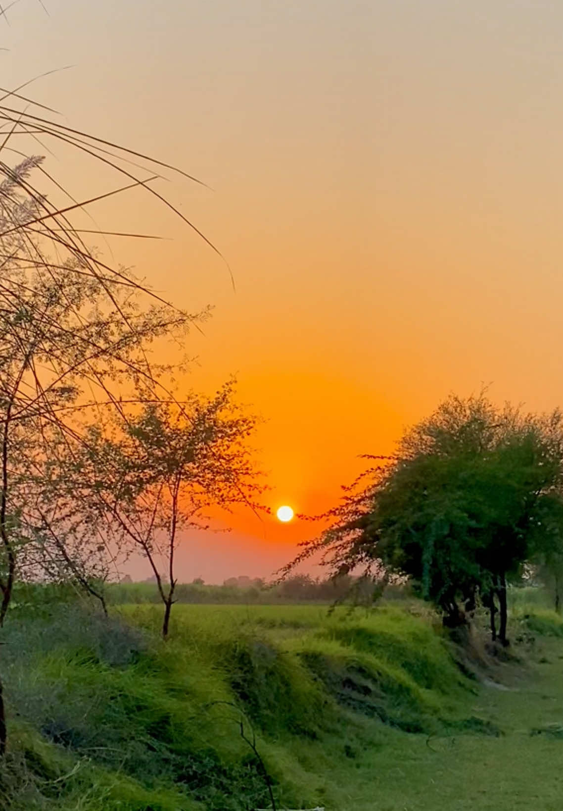 @Iftikhar_Wassan 𓆩♡𓆪🧸