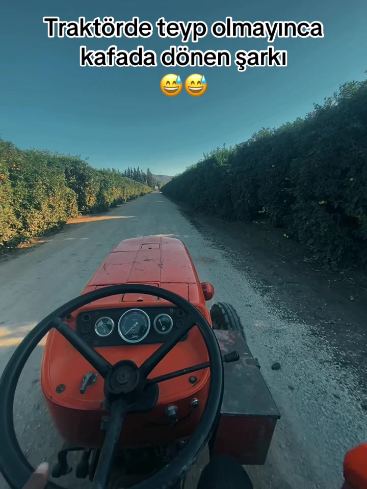 @✨uğuraksoy0101✨