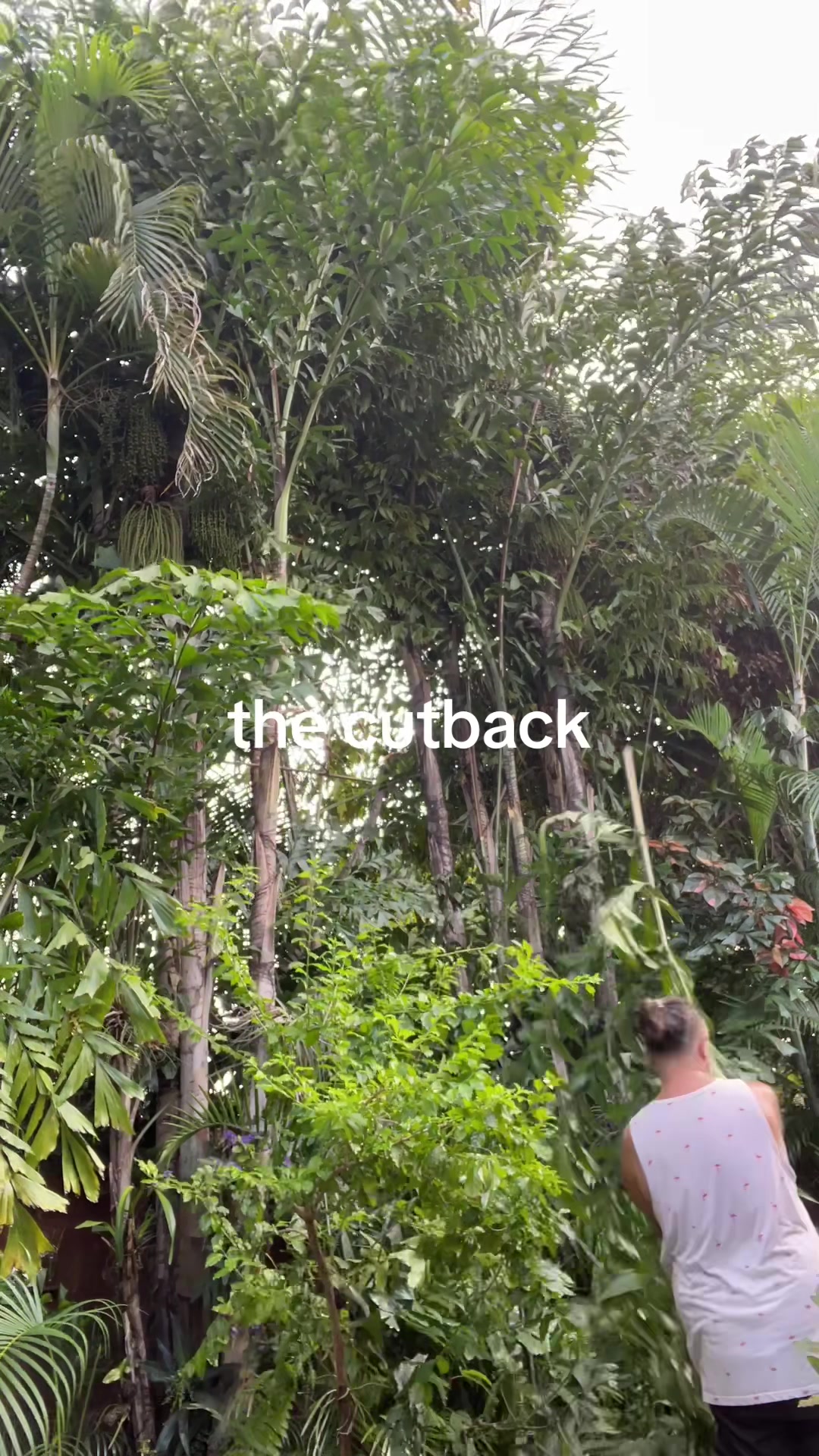 @bearfluence