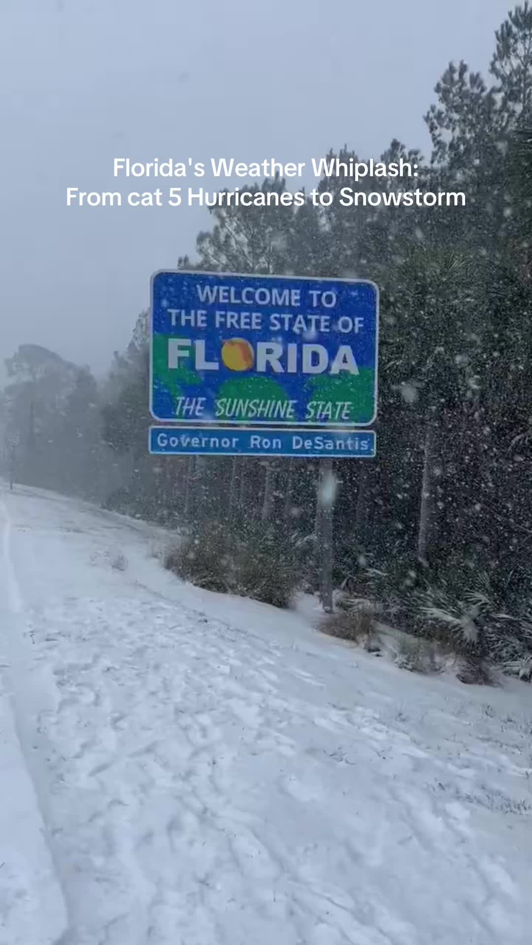 @Tampa Terrence