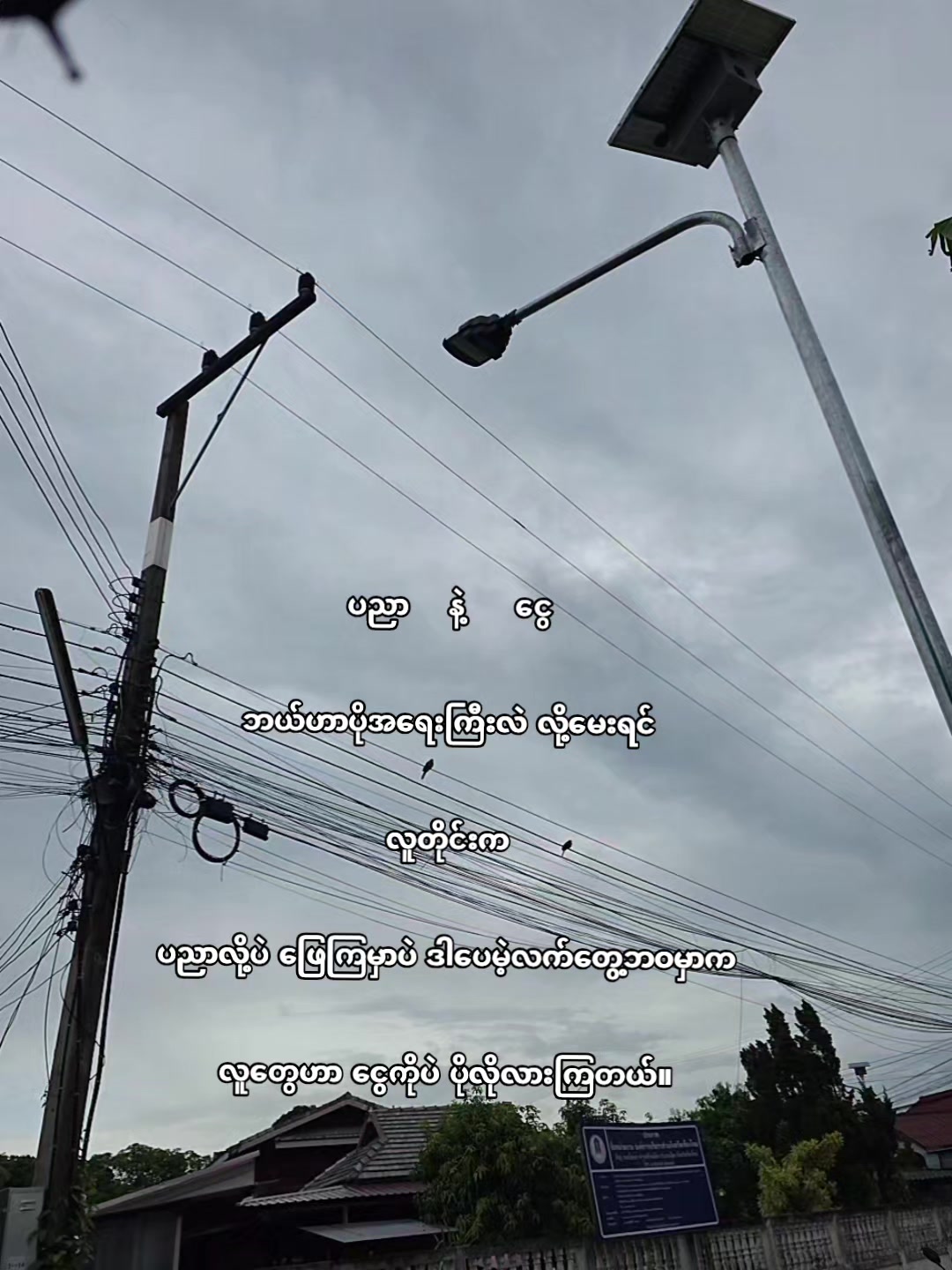 @🍃 𝙽𝚄𝙼 🐒
