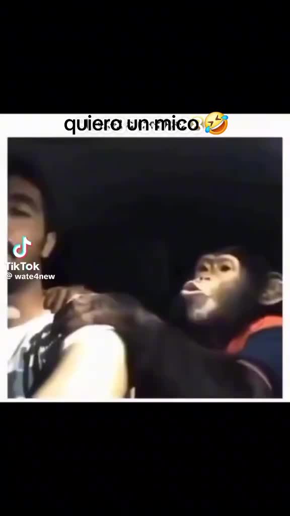 @Alexander✅️