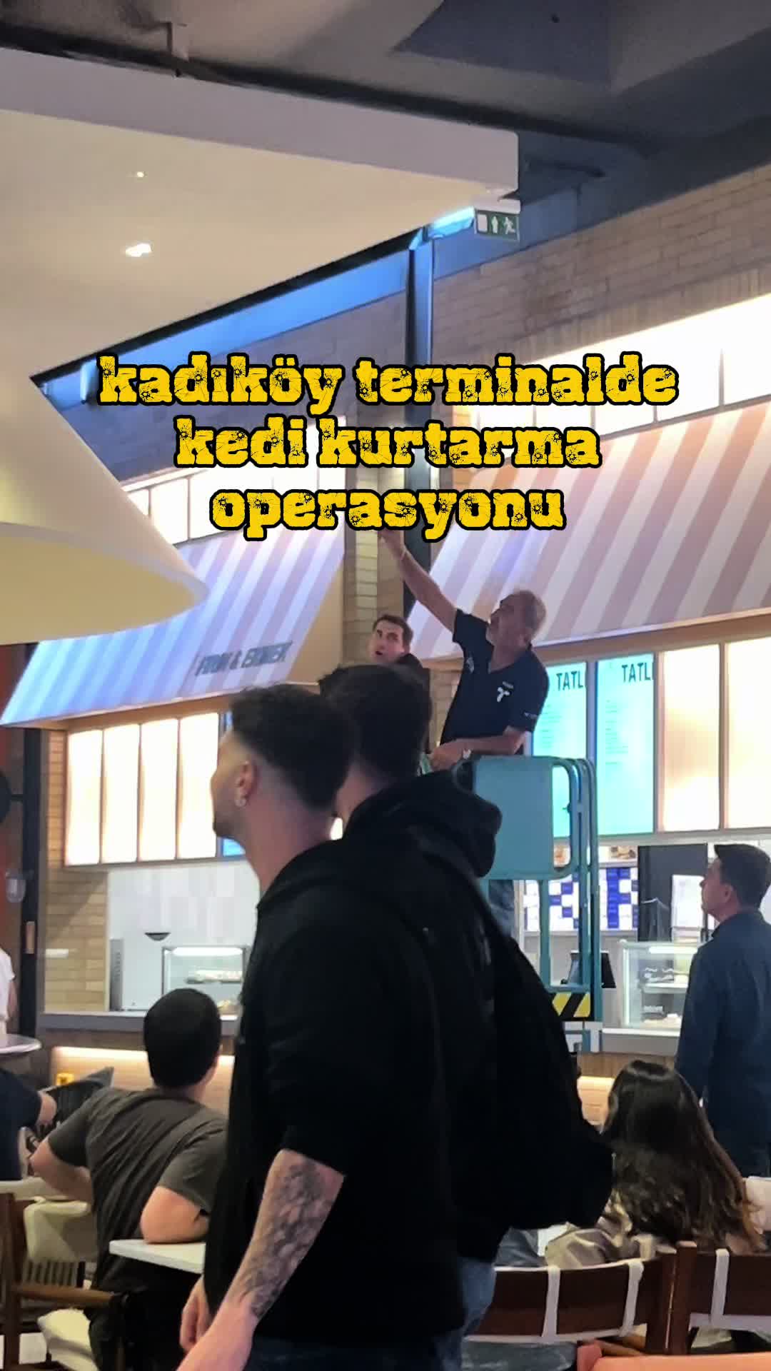 @kudretlimissss🐍🐍