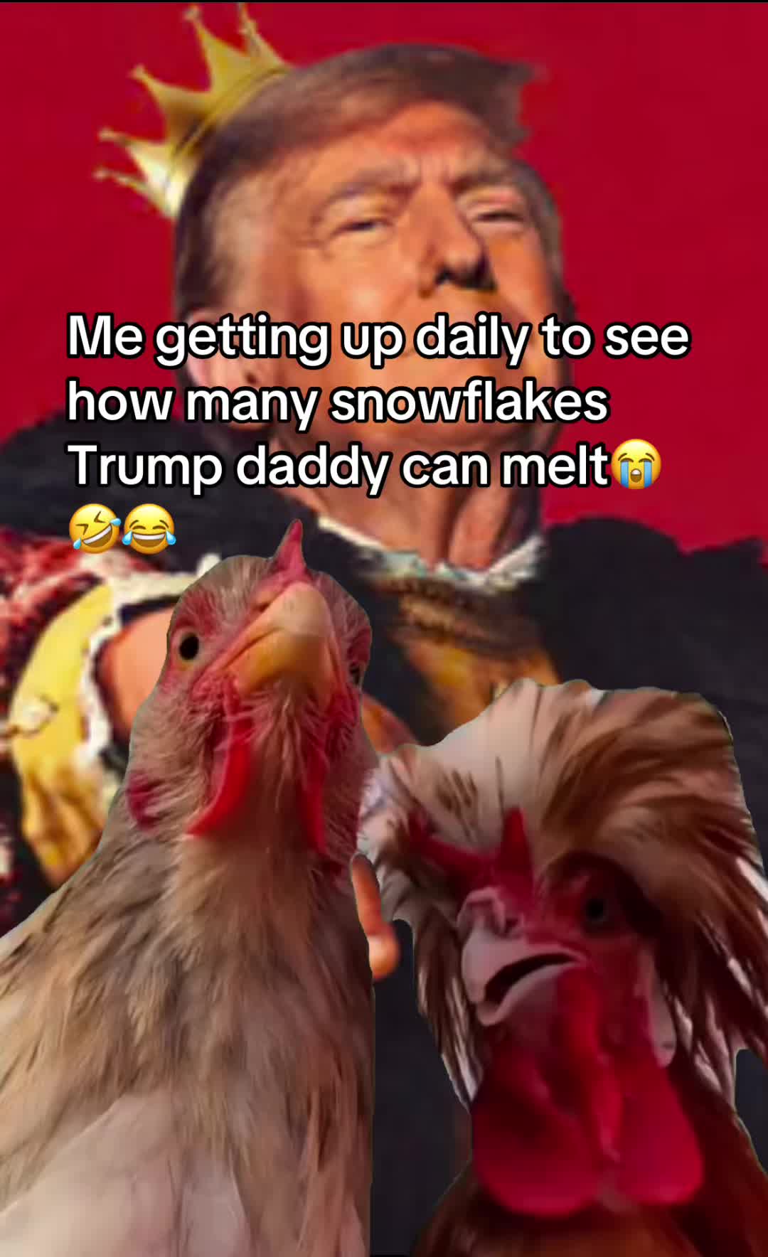 @Trumps Cult Leader