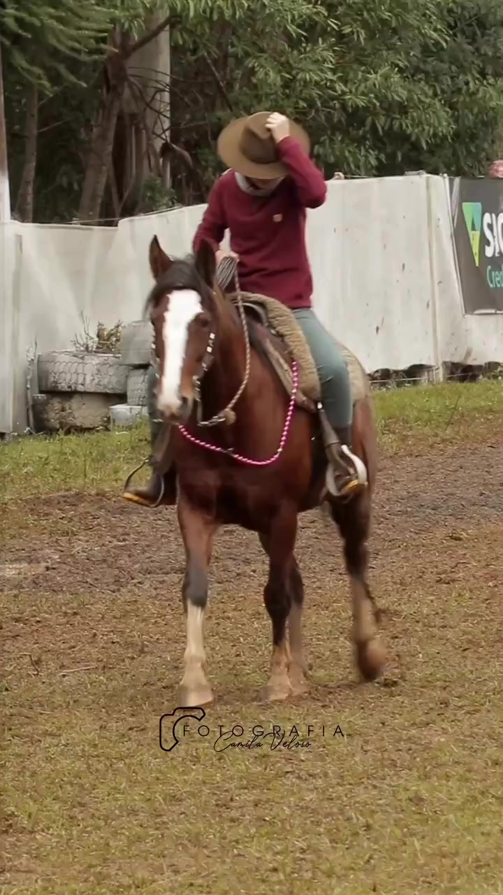 @BOIADEIRA 🐎➰🐄