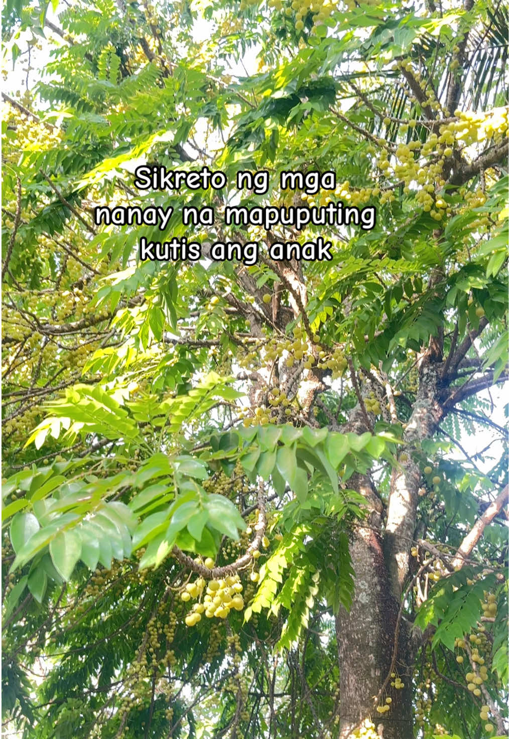 @CriShop