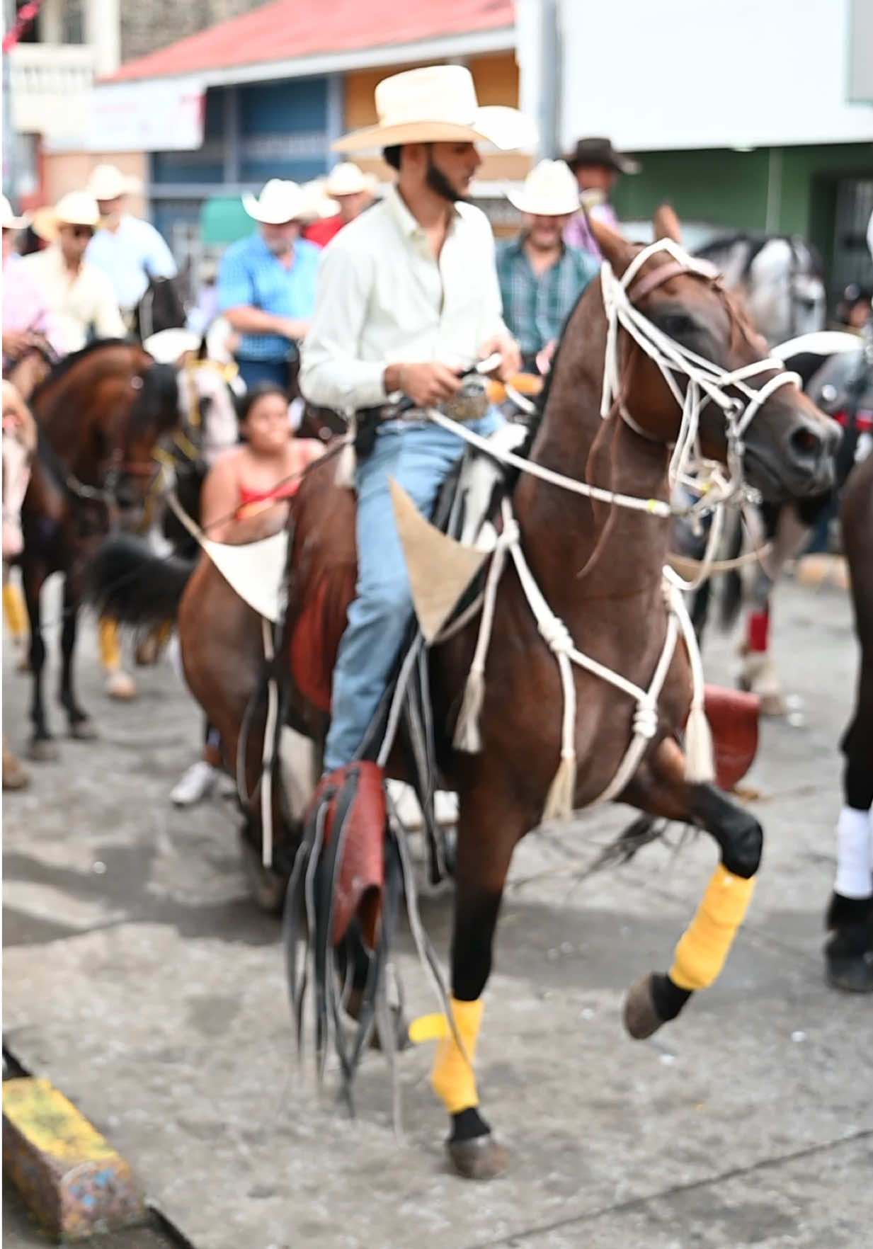 @José Núñez