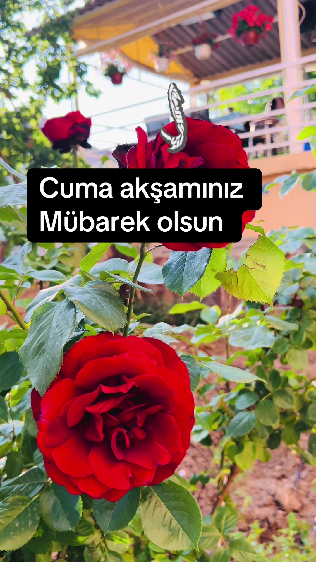 @❤️kahvekeyfiim ☕️
