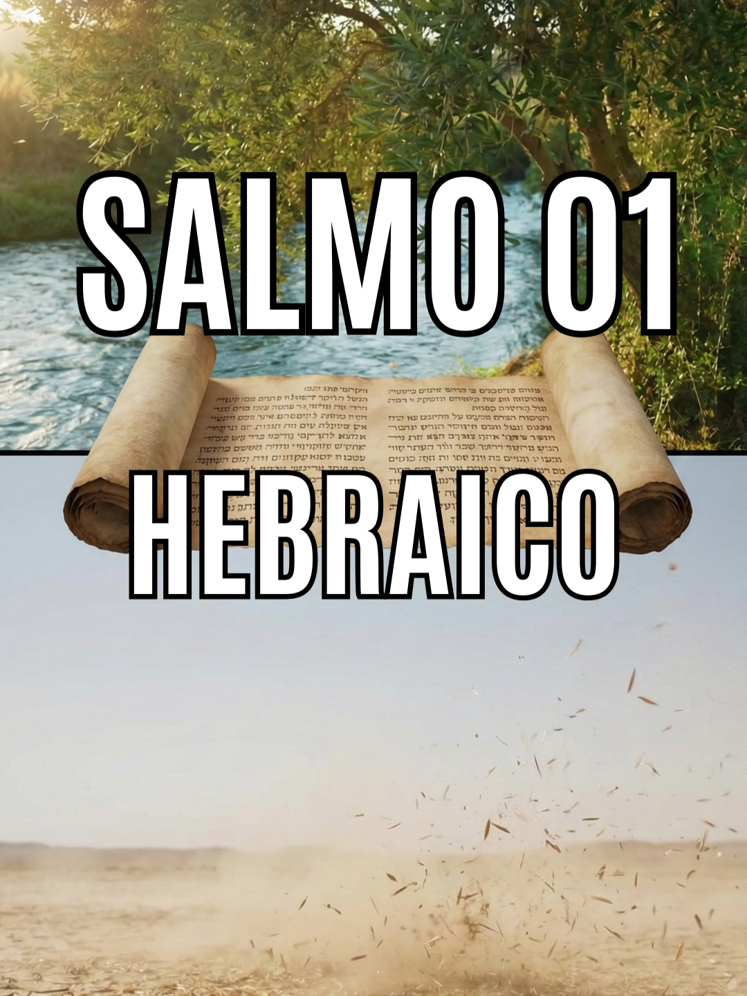 @O Harpista
