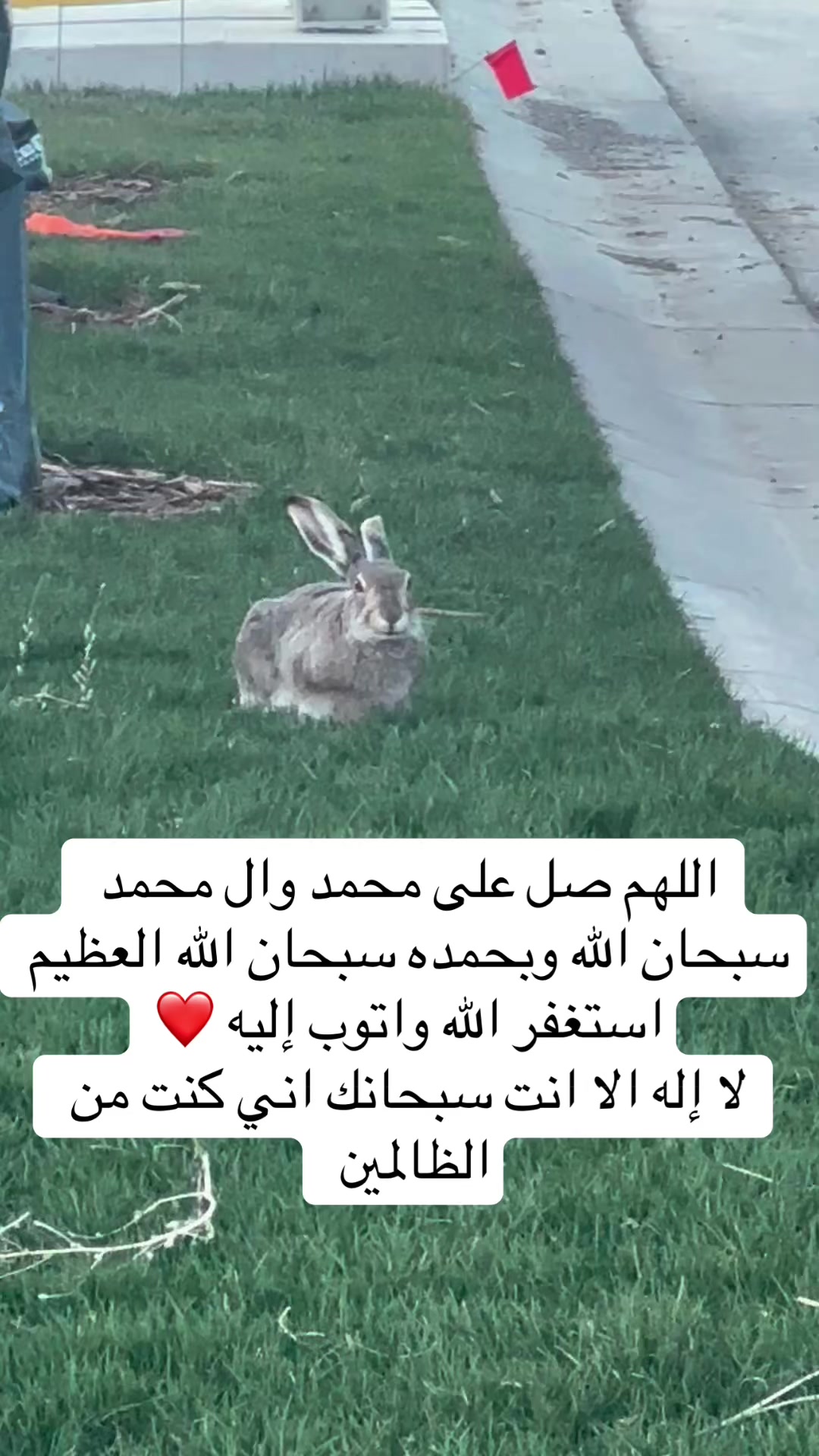 @sedral47