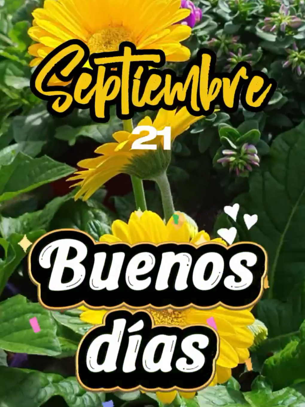 @Arely Mendoza Frases bonitas