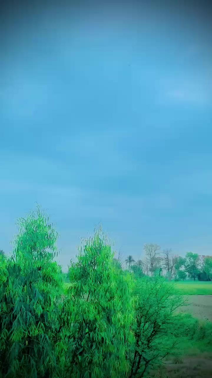@JONI$$BHAKKAR•❤️❤️🥀🥀