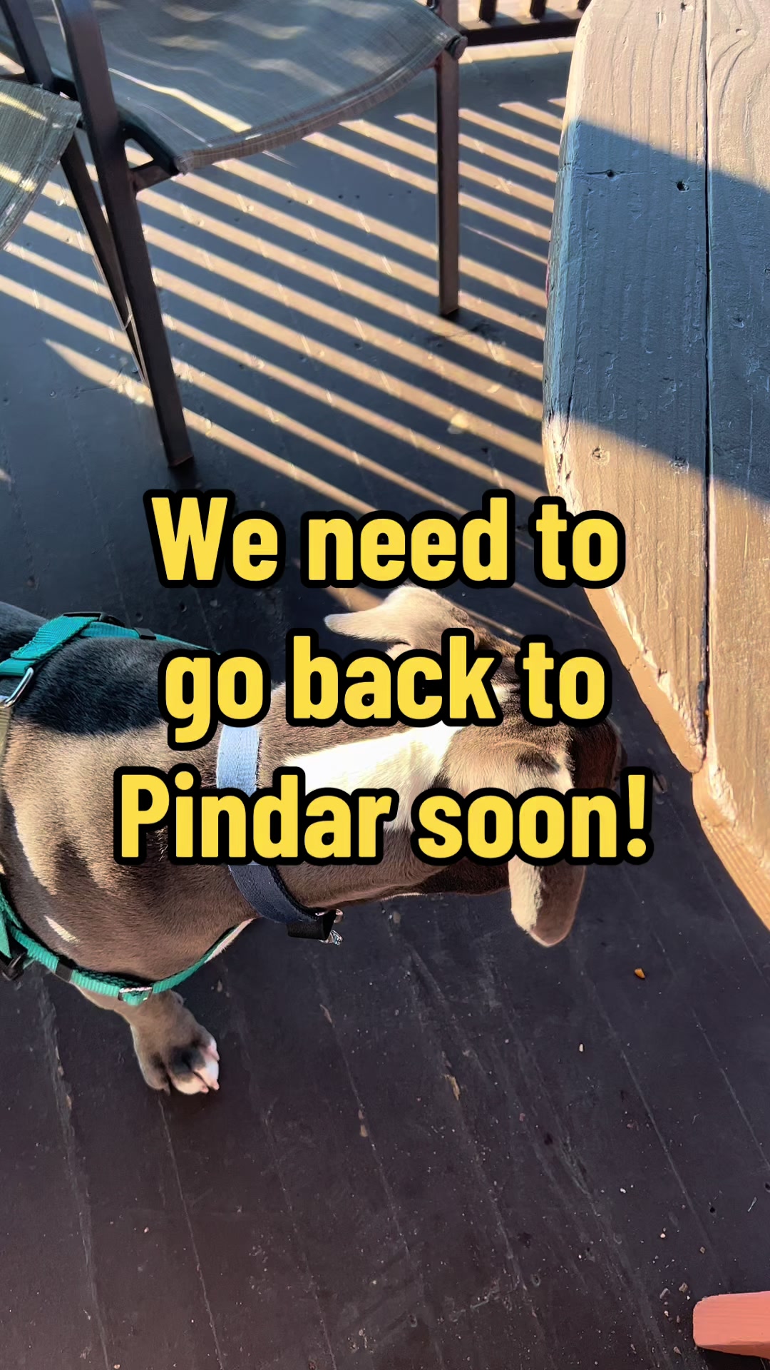 @Pibblingaround