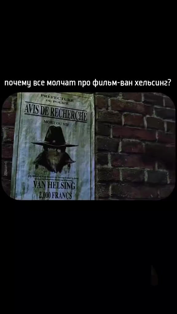 @kit_kolya