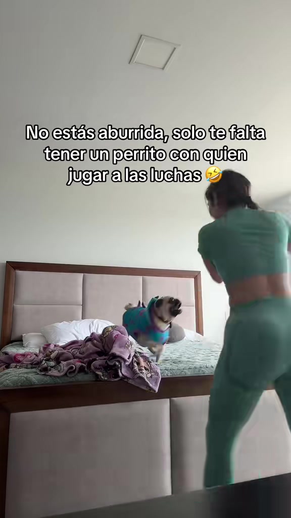 @Alexa&elcarnalchiss