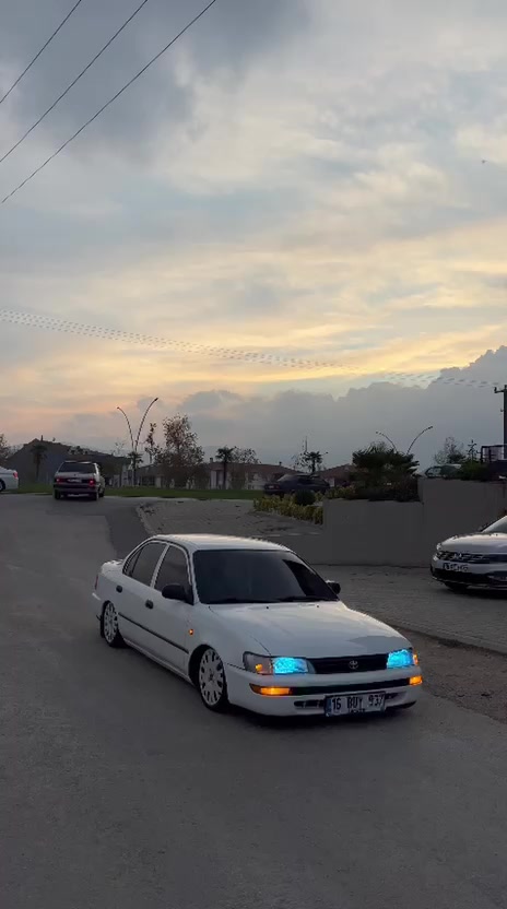 @Güray Şar🇹🇷🇦🇱🇳🇬🐊
