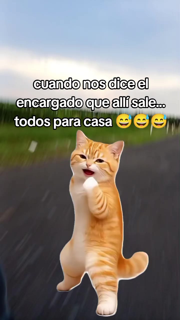 @Vicky vicky