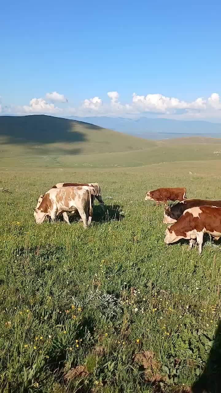 @Gökhan Çoban