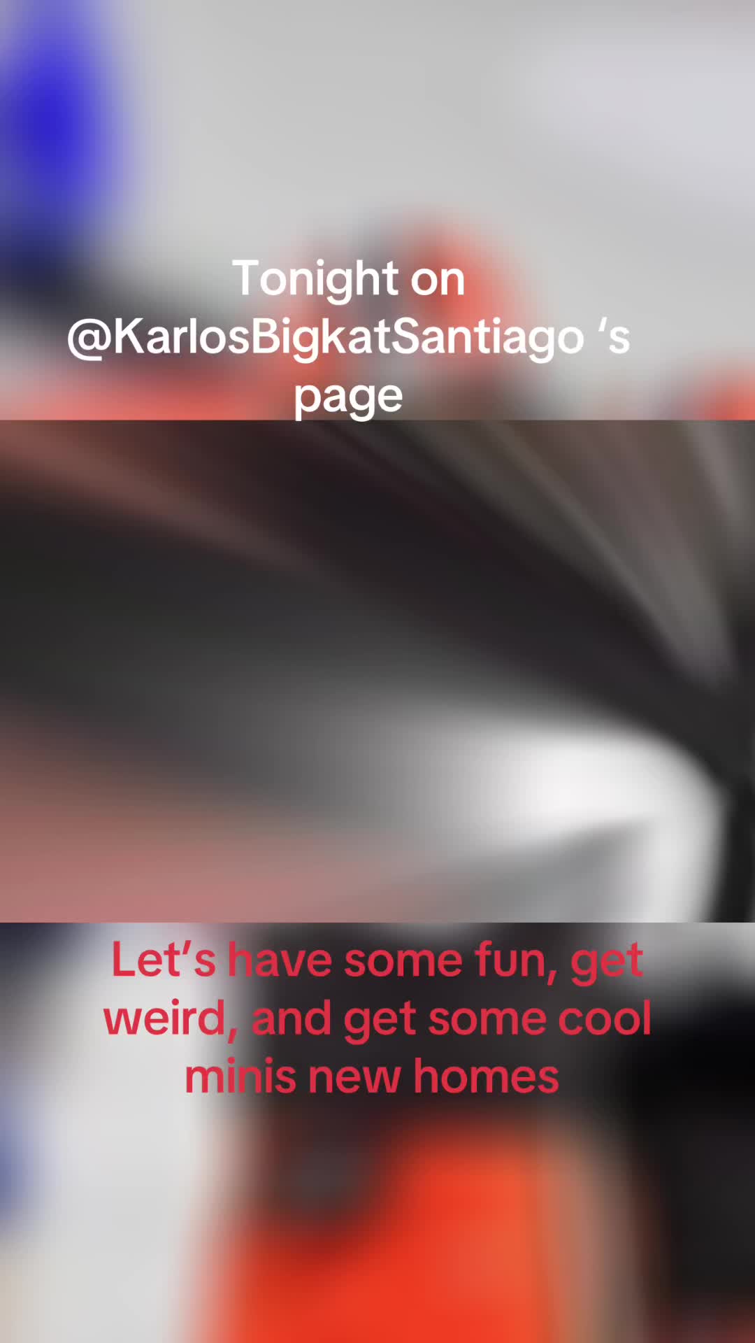@Animal