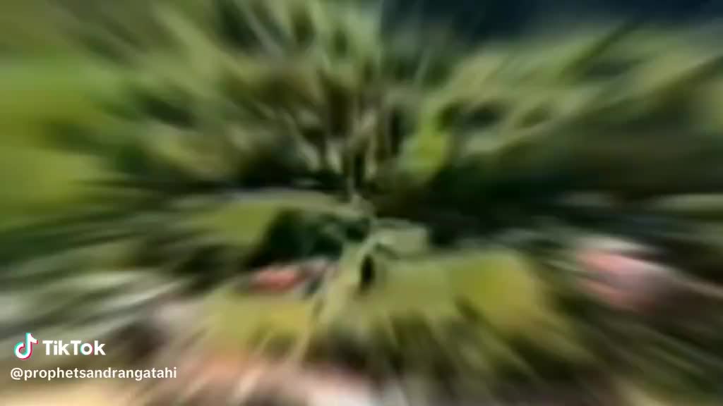 @Nina Maniapoto