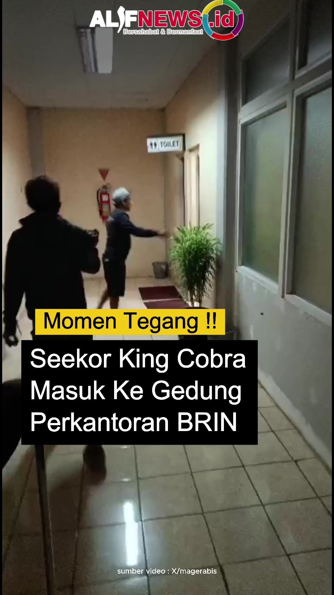 @ALIFNEWS.ID