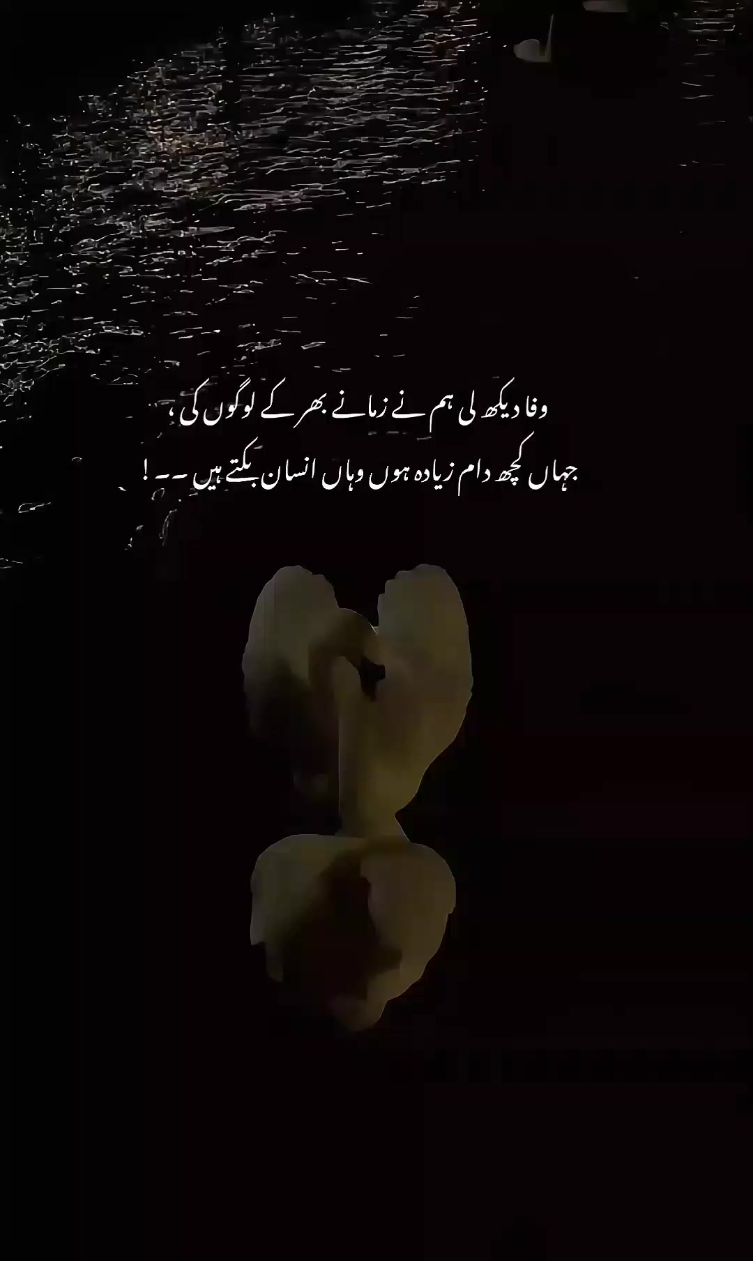 @ᥫ᭡𝐈𝐒𝐇𝐔⏤͟͟͞͞🦢🌷