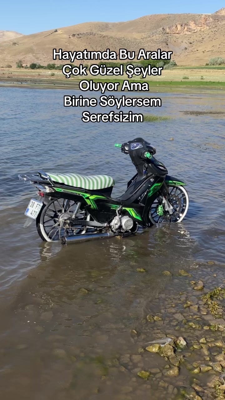 @Kütükk🐊