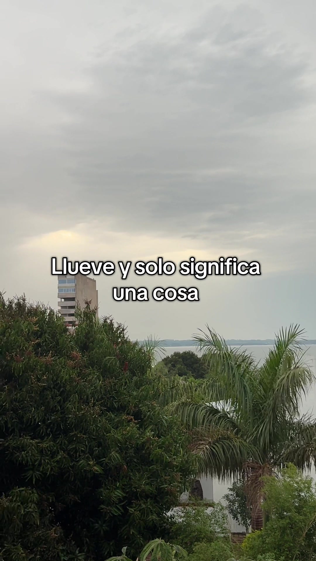 @Melina Lovello