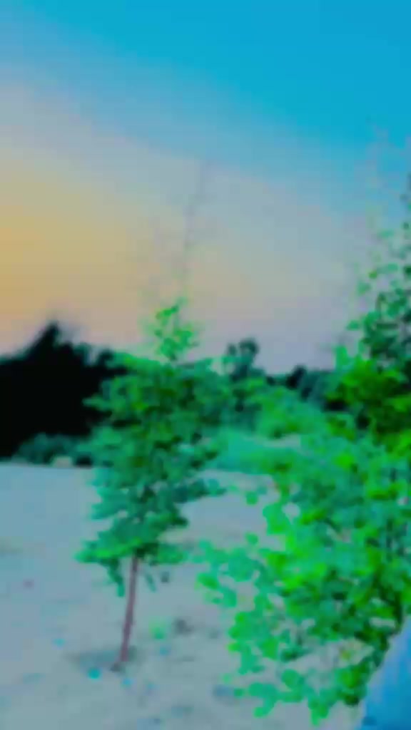 @☆⃝💔𝓢𝓲𝓻𝓪𝓳𝓚𝓱𝓪𝓷☆