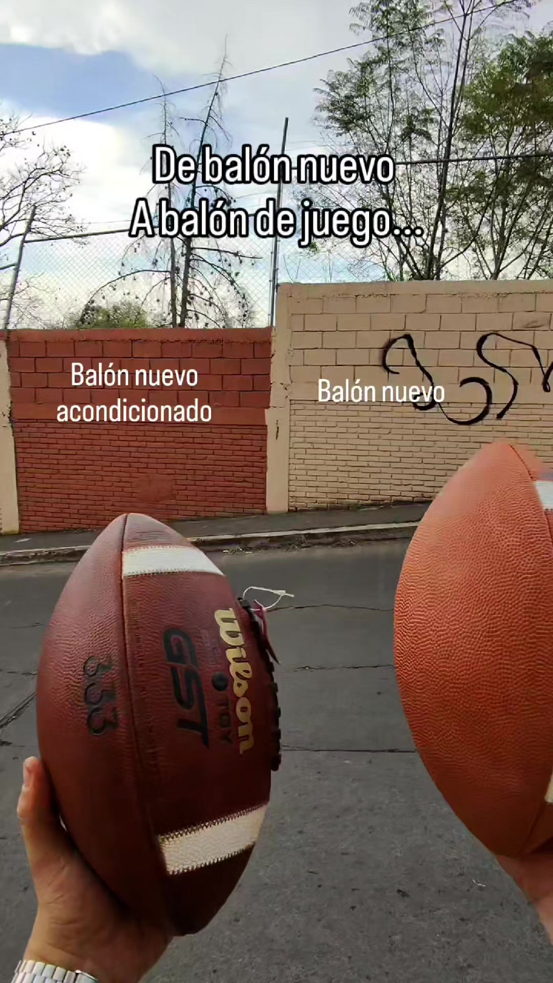 @Eduardo L. Guízar