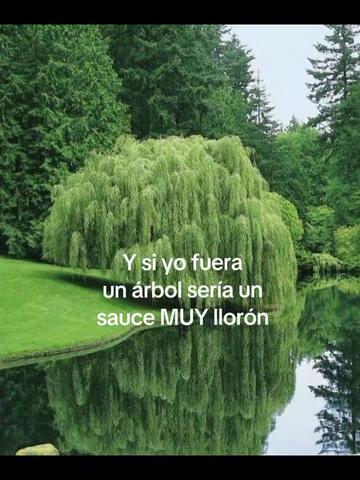 @yojan