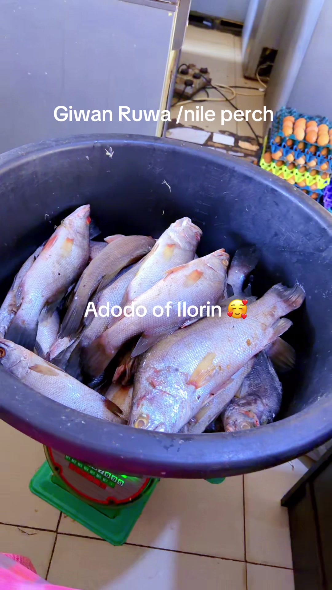 @Adodo_frozen_foods