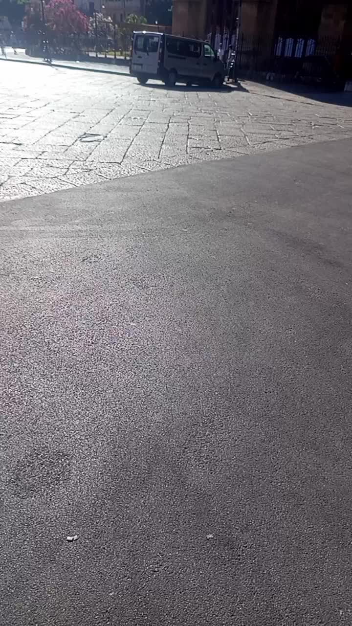 @paluzzu