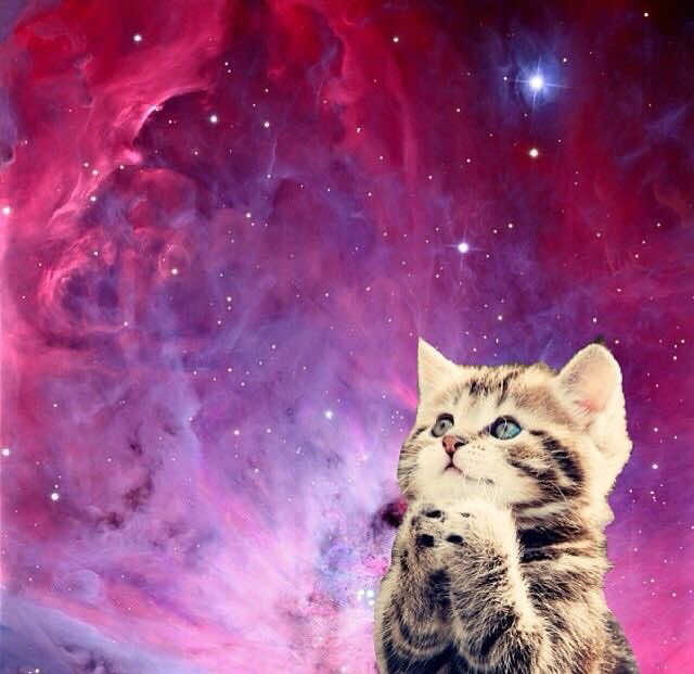 @️gxzmo
