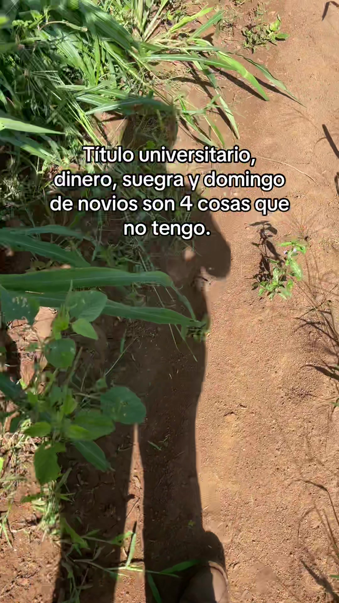 @La del Agro 👩🏻&zwj;🌾🌱