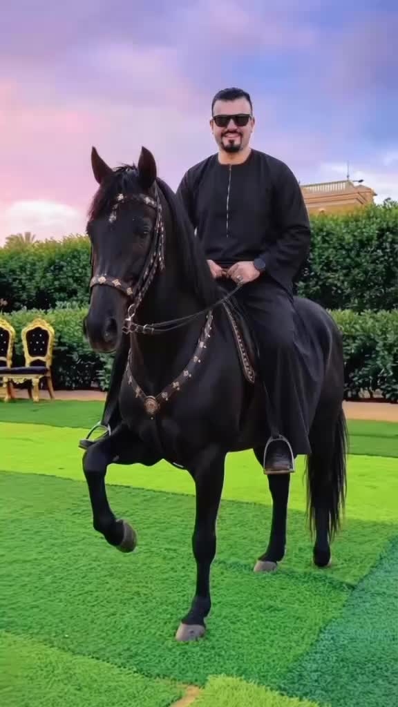 @المستشار 🦅⚖️🇪🇬⭐️