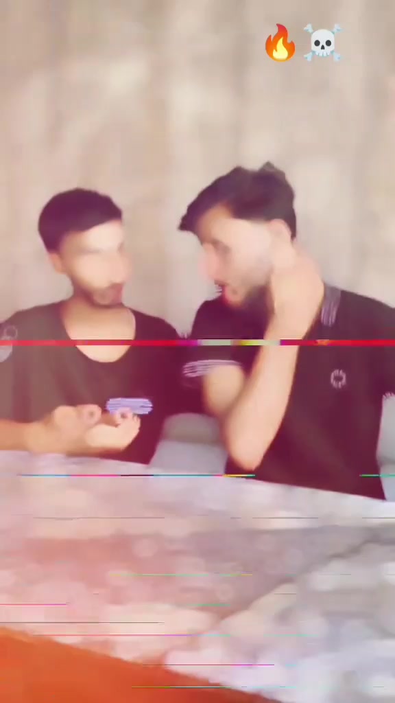 @🕊️🕷️