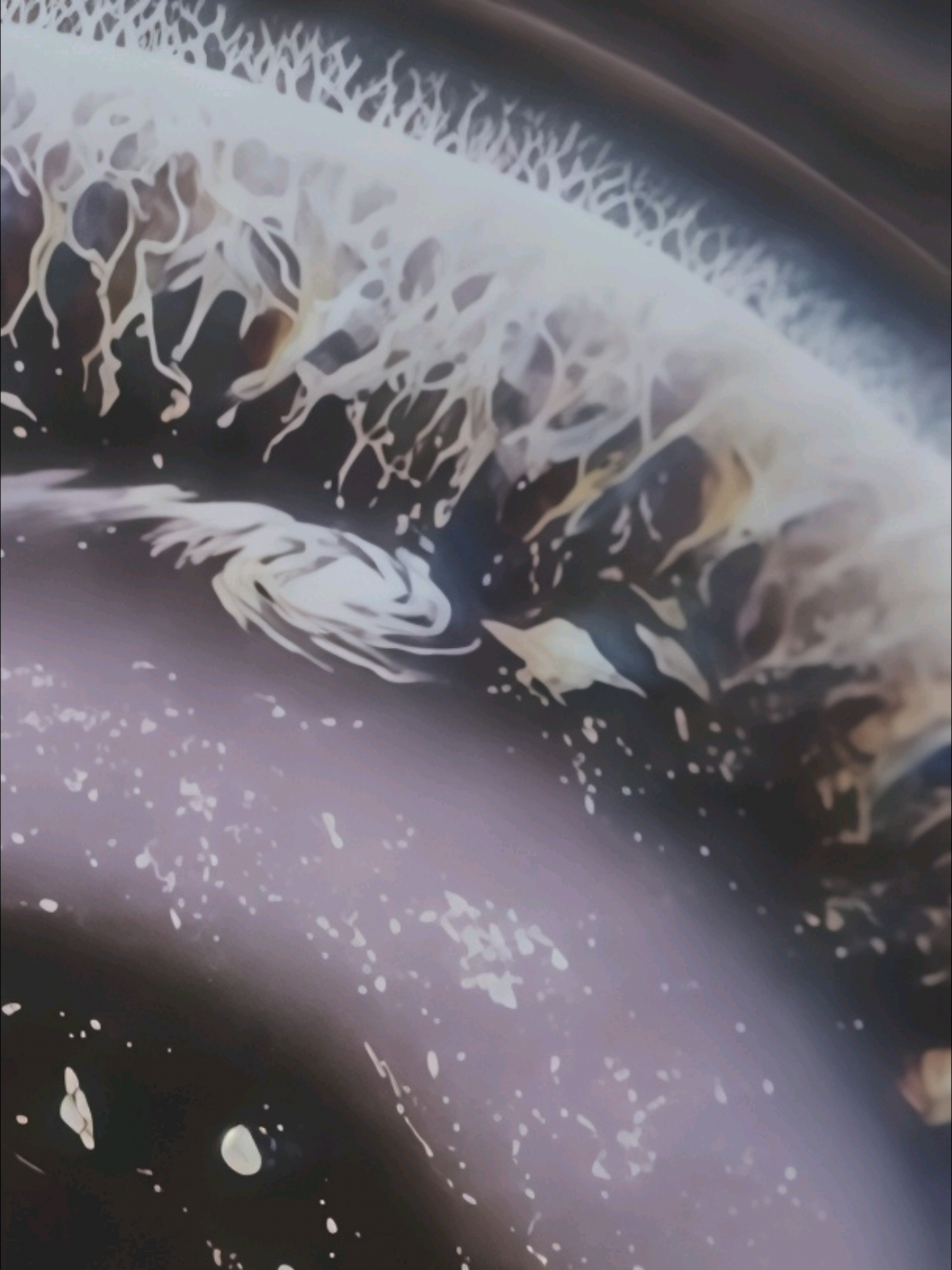 @𝐌𝐨𝐢𝐧𝐧.