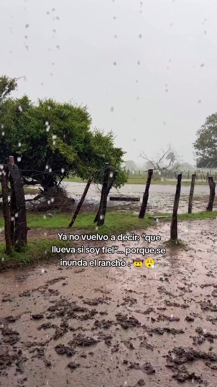 @Robin🐄🐄🤠🤠🐎🐎🇬🇹🇬🇹